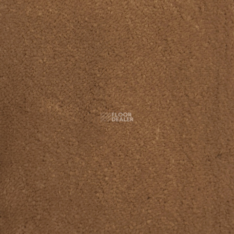 Ковролин  Gold фото 1 | FLOORDEALER